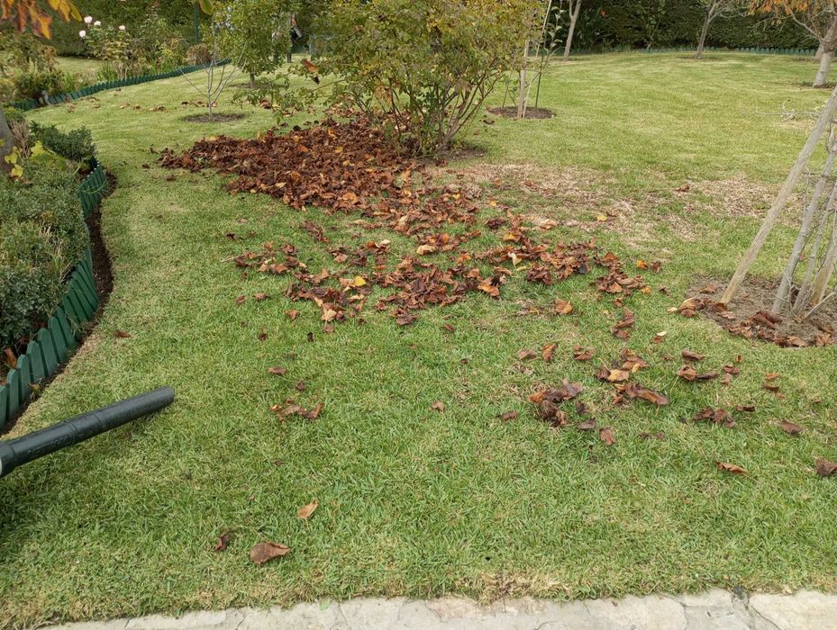 Jardineiro particular limpezas manutenção jardins terrenos . Pintura