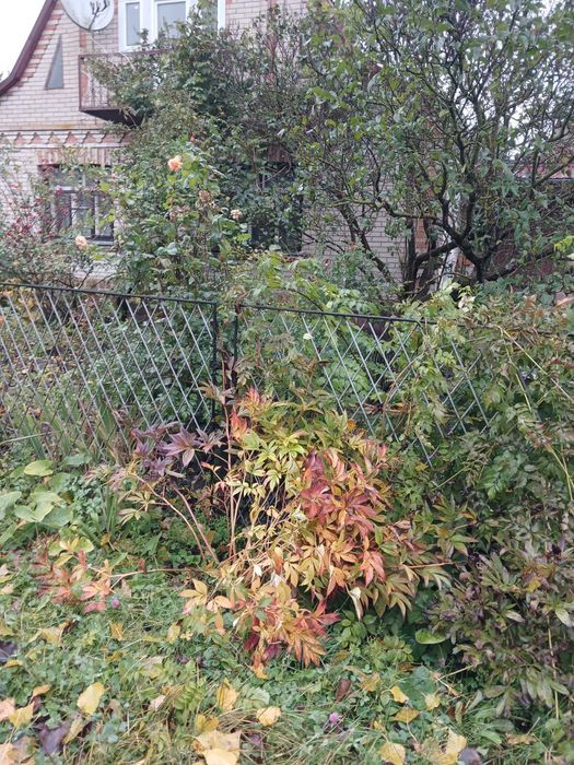 Продам будинок в Самгородке, 4 кімнати