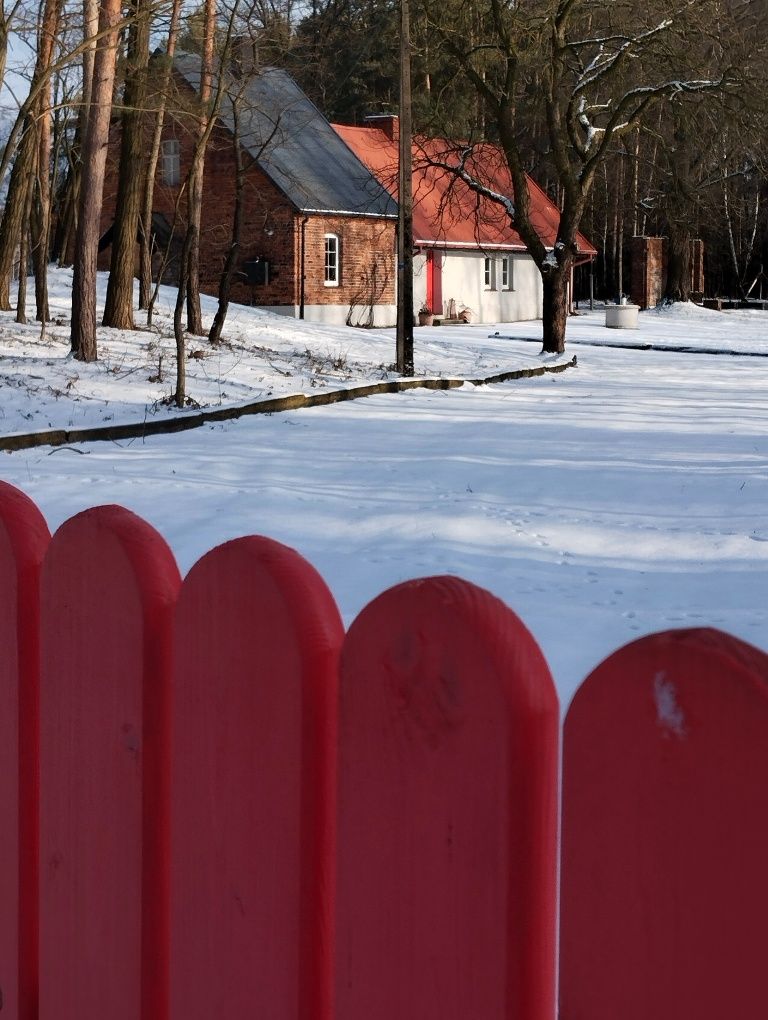 Domek wakacyjny. Dom, domek w lesie. Hetmanów koło Ostrowa Wlkp,