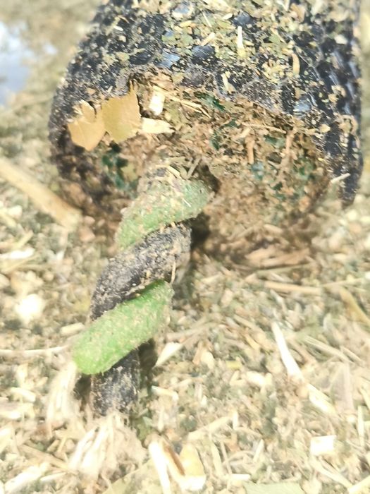 Свечи из вощины на чистку финансового канала