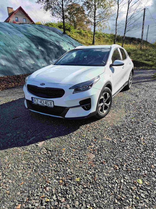 Ładny crossover Kia X ceed