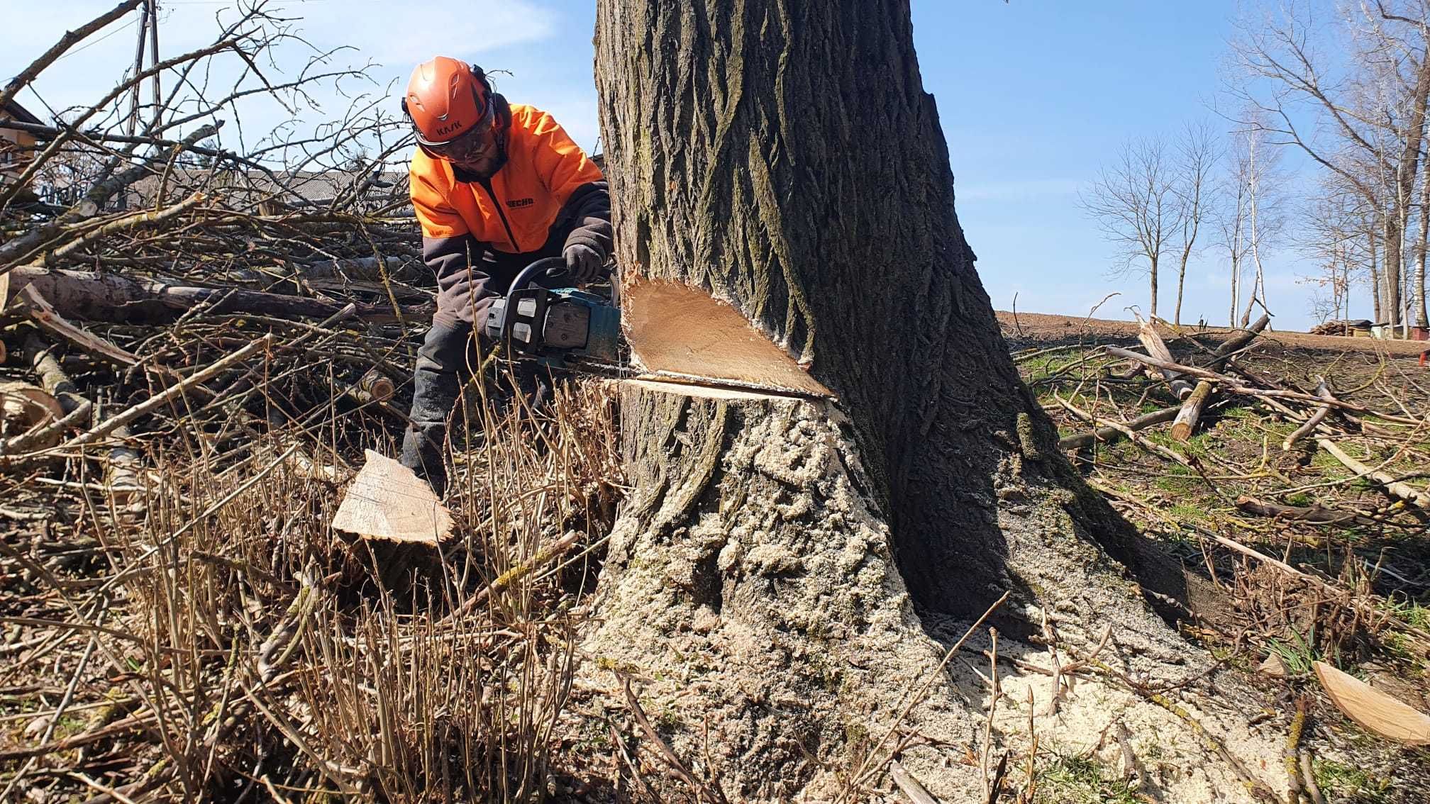 wycinka drzew metodą alpinistyczną prace wysokościowe frezowanie pni