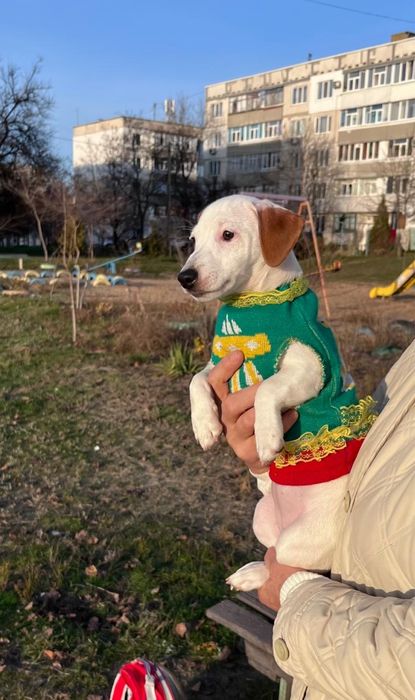 Красивая малышка ищет маму