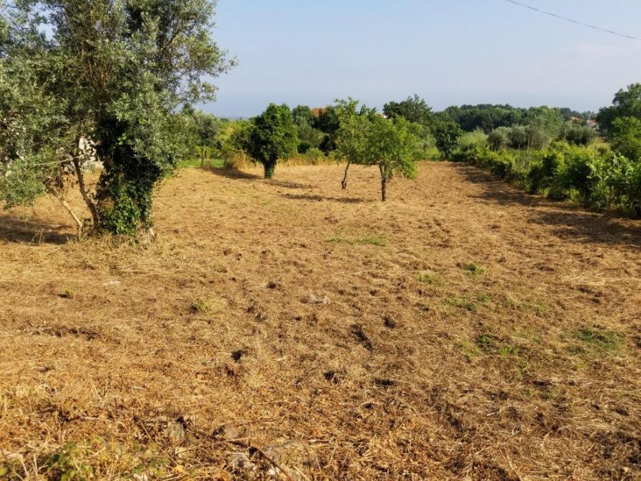 Terreno p construção 1344m2 Poiares - Coimbra