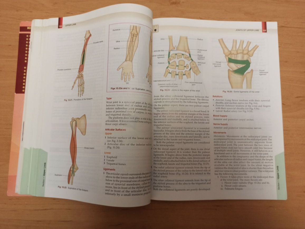 B D Chaurasia Anatomy Анатомия 6 edition Чаурасия