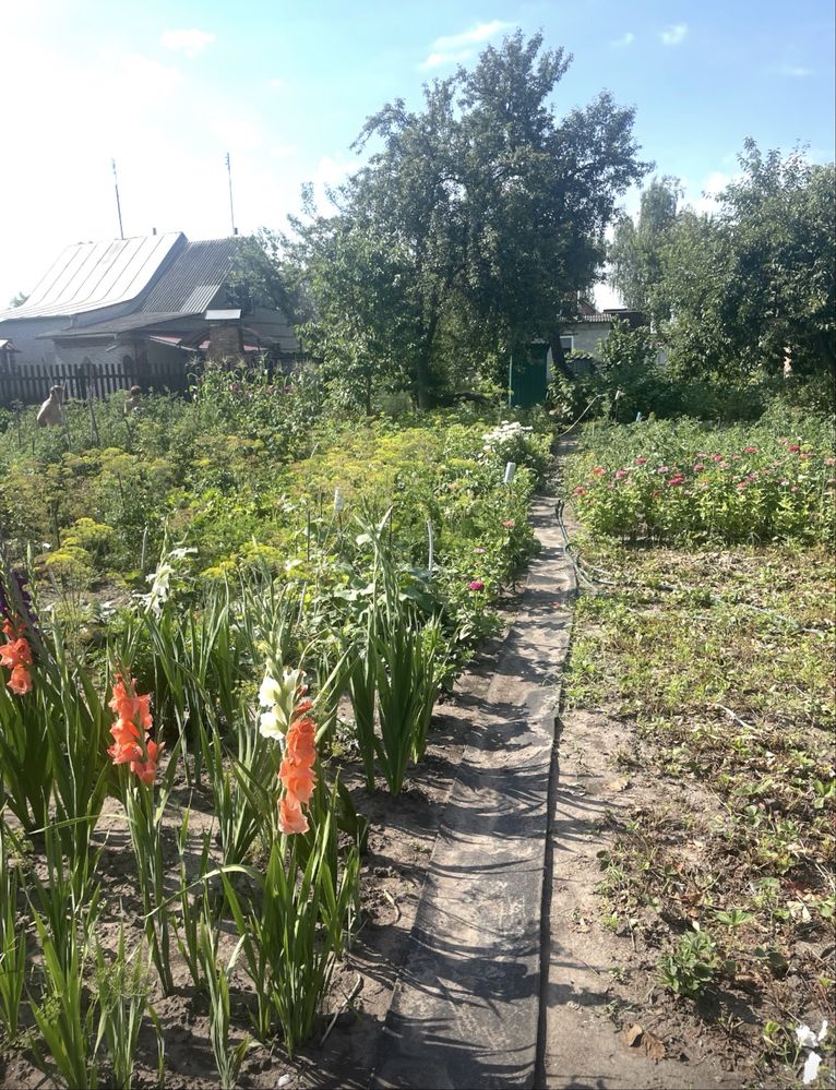 Дача район Старого села
