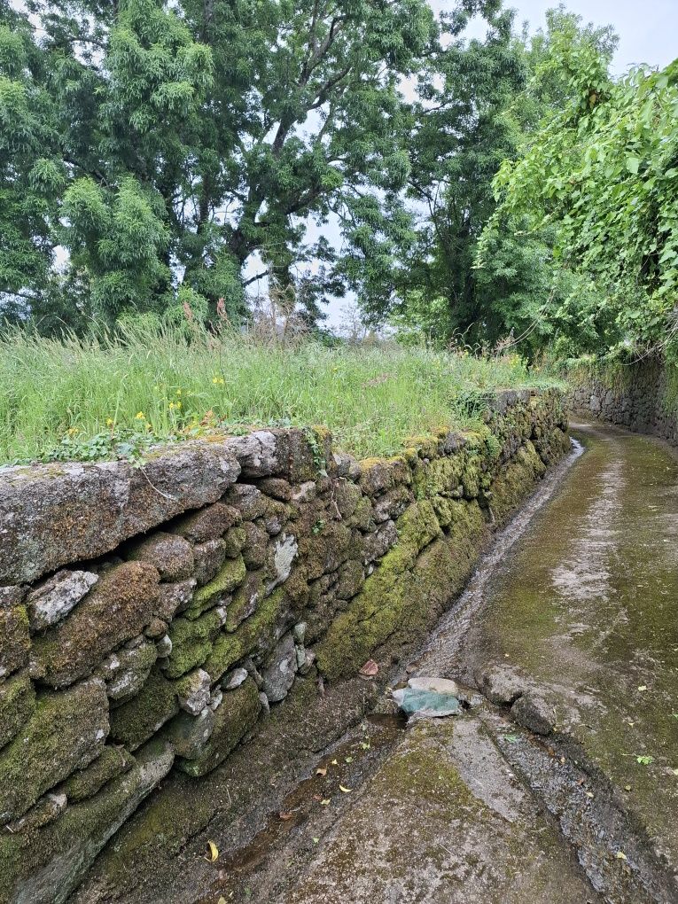 MELGAÇO, Duas quintas com 2 moradias par reconstrução