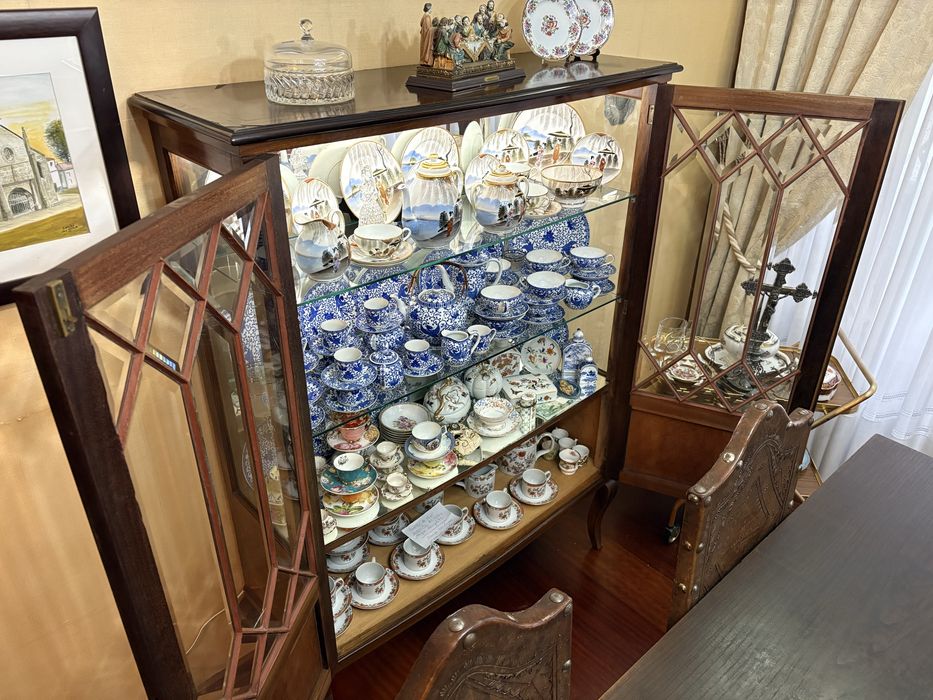 Vitrine Expositor Eletrificada