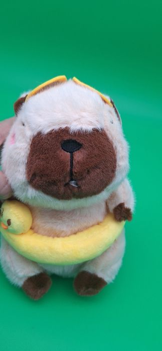 Nowa maskotka Kapibara z kółkiem i okularami