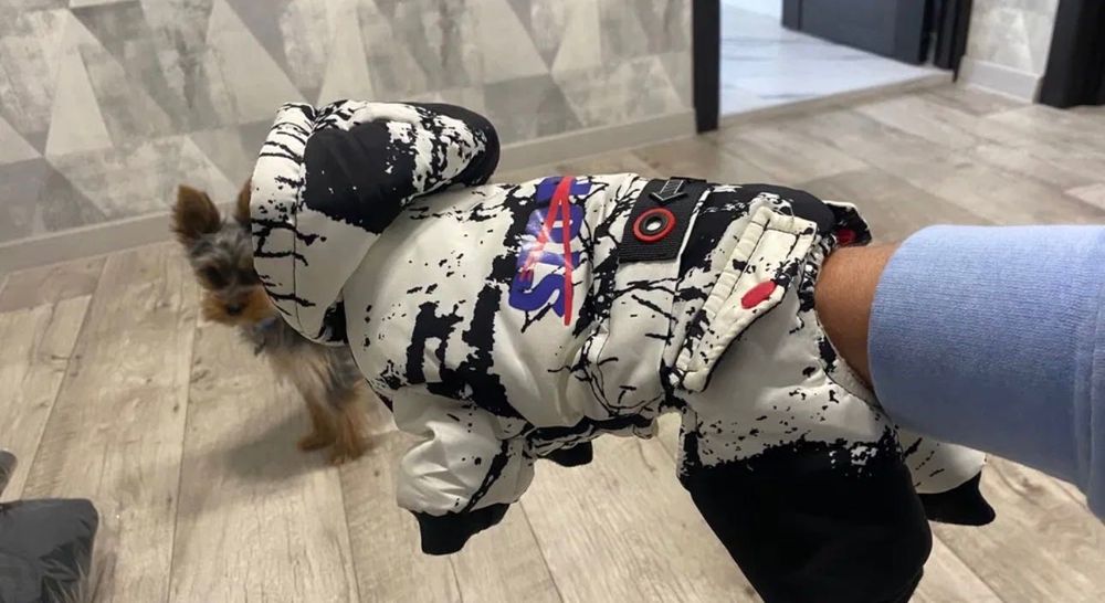 Комбез для маленької собаки/цуценя