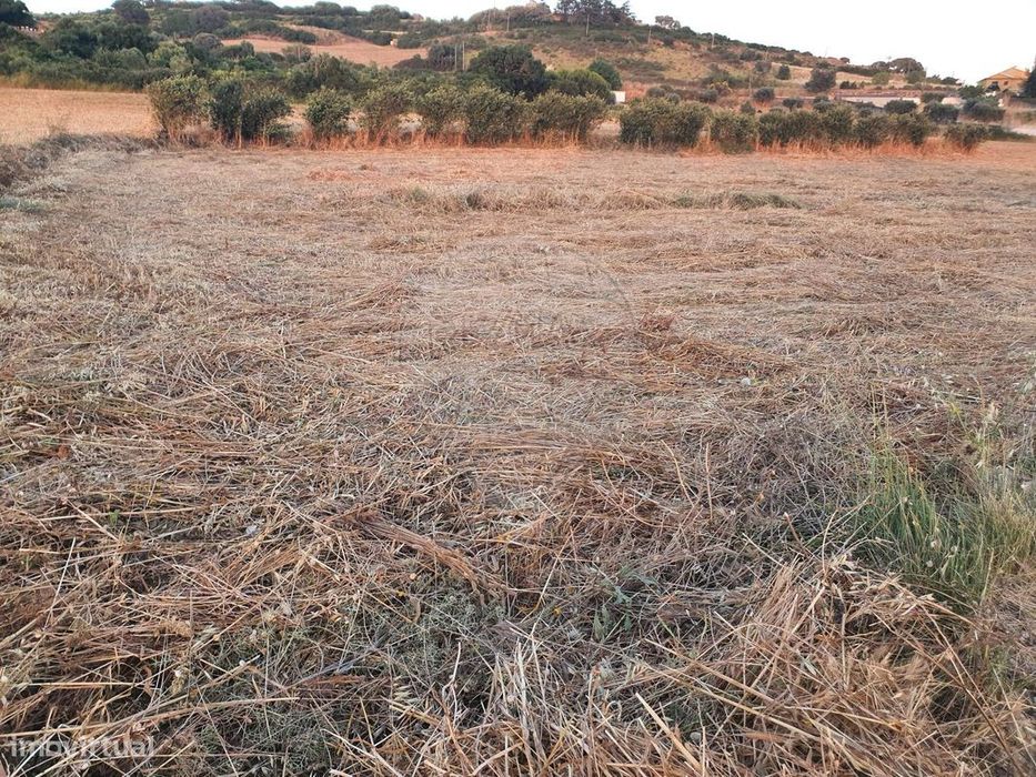 Terreno  para venda