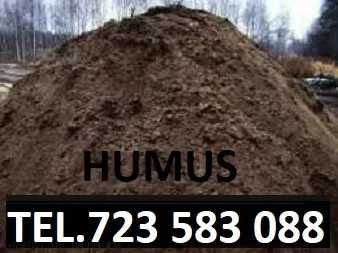 Humus czarnoziem sprzedaż transport