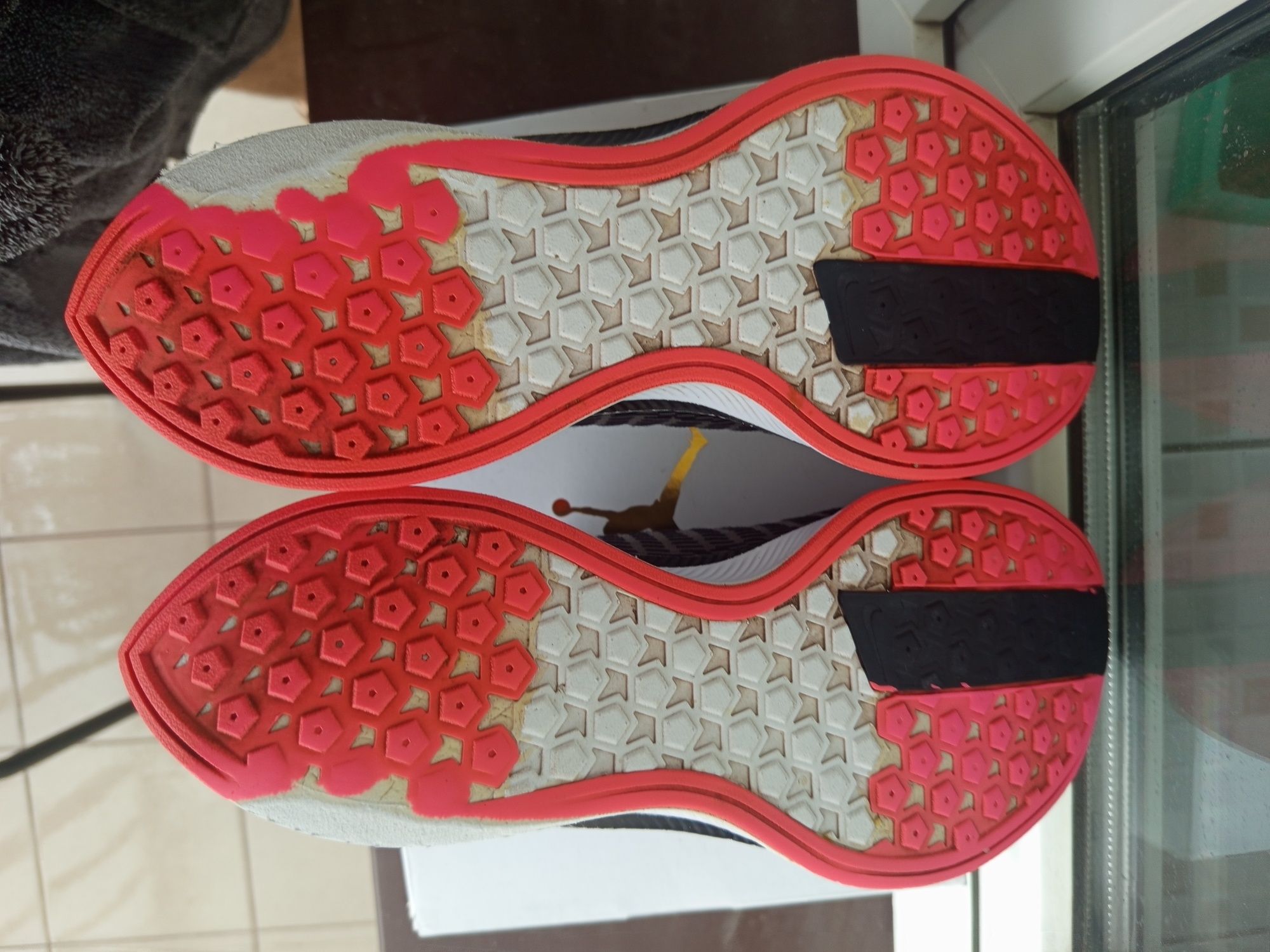 Buty do biegania Pegasus turbo 2