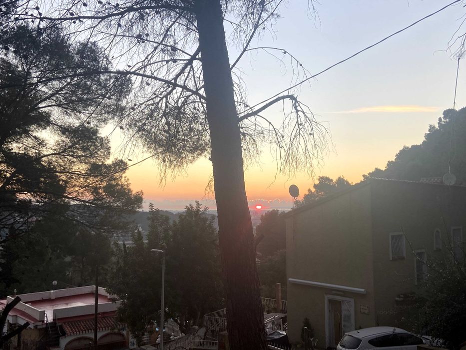 Lekcje hiszpańskiego – od podstaw lub konwersacje! Online!