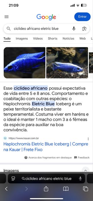 troco ciclideo africano