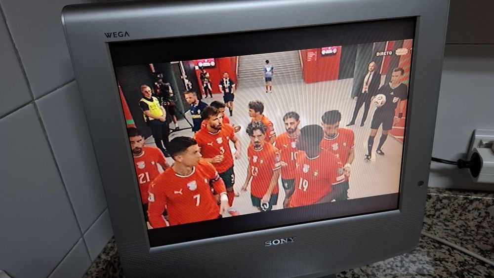 Sony Wega LCD TV