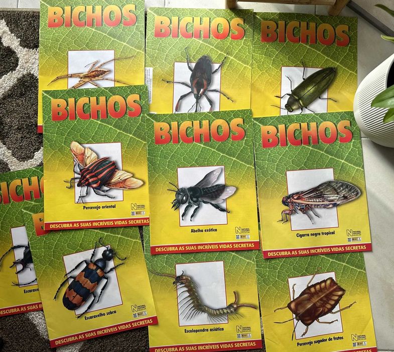 coleção bichos national geographic fasciculos animais vida selvagem