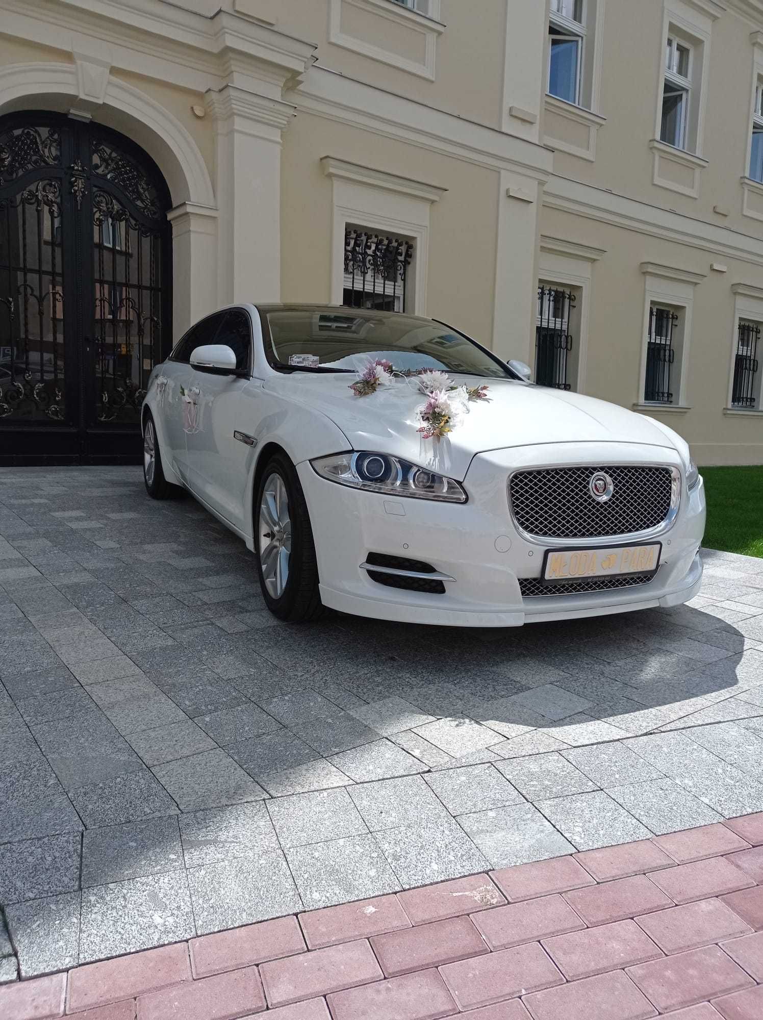 Piękny i komfortowy Jaguar XJL - Auto Na Wesele