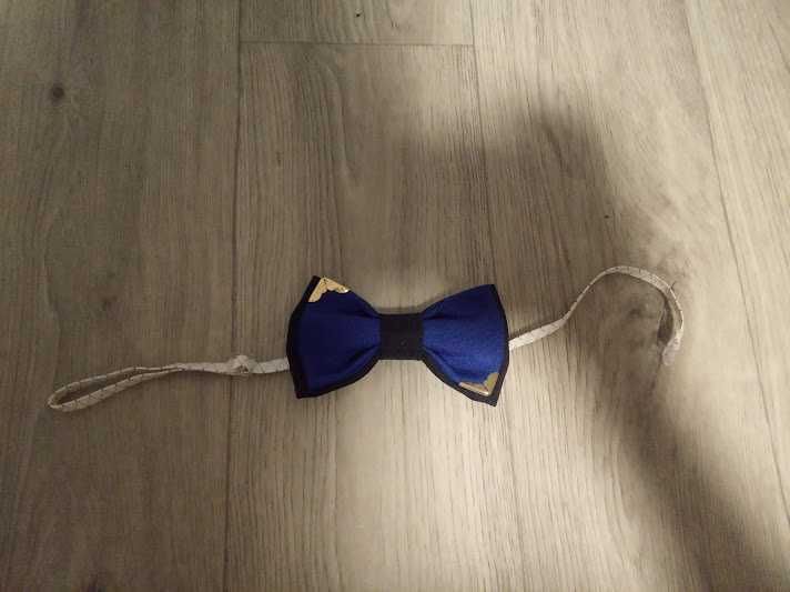 Бабочки, метелики, бабочка-галстук для хлопчиків