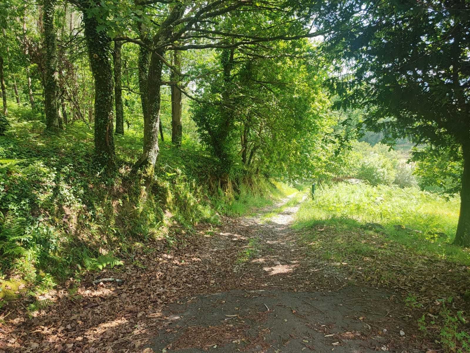 terreno em Milhundos, na União das Freguesias de Souto e Tabaçô, s/n