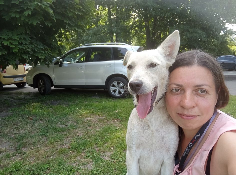 Чарівна дівчинка-собачка шукає дім