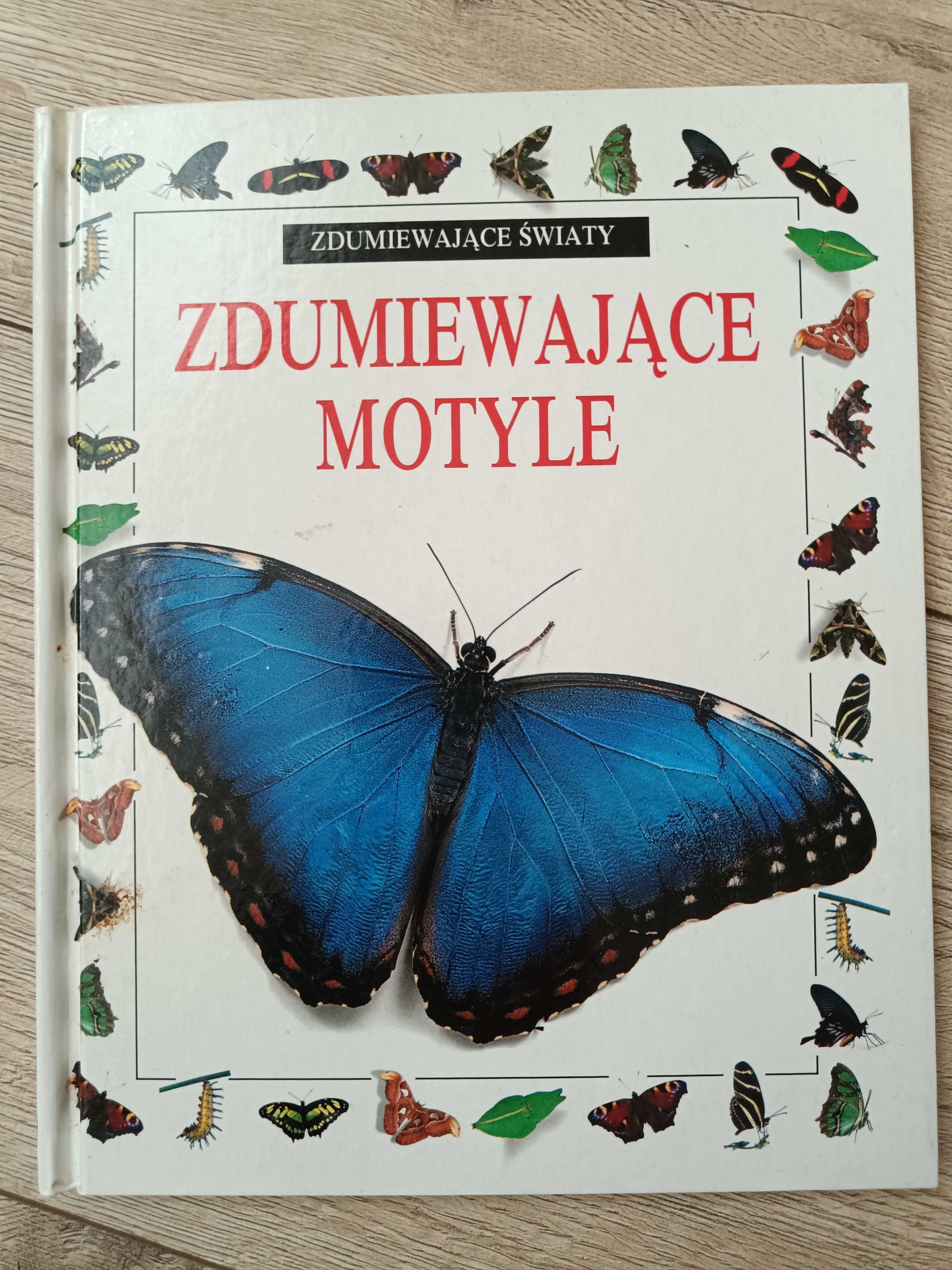 "Zdumiewajace pająki,ssaki,motyle" Seria Alexandra Parsons,Jerry Young