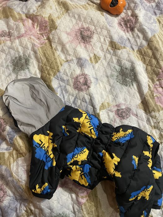 Комбінезон для песика