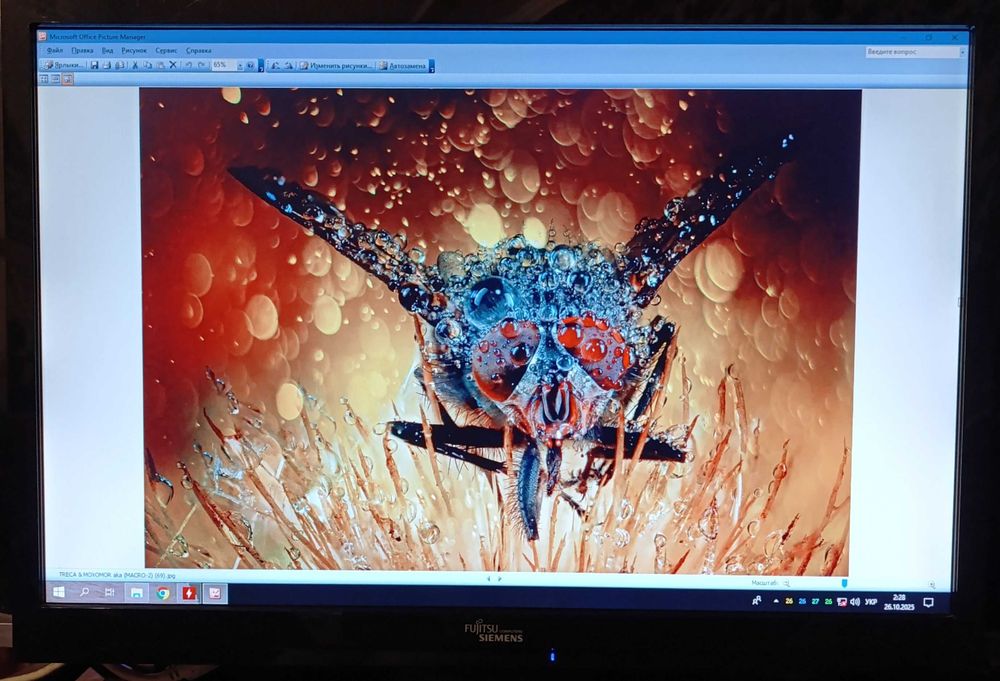 Монитор Fujitsu Simens  D22W-1 / 22"