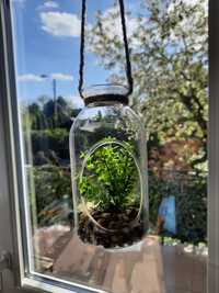Ogród w butelce butelka szkło dekoracja sztuczna roślinka roślina
