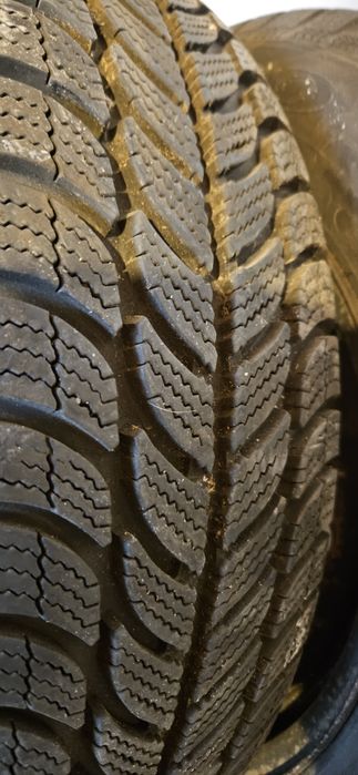 Opony zimowe DĘBICA FRIGO 185/65 r15