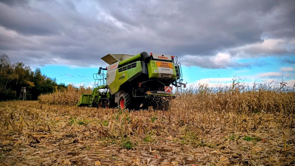 Usługa koszenia/zbioru  zboża, rzepaku, kukurydzy