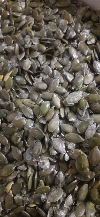 Продам насіння голе гарбузове 2025