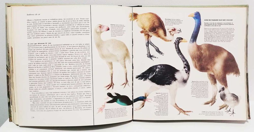 Livro - A vida na Terra - David Attenborough