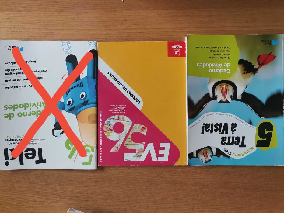 Cadernos de Actividades 5°/6° ano Novos/Usados em bom estado
