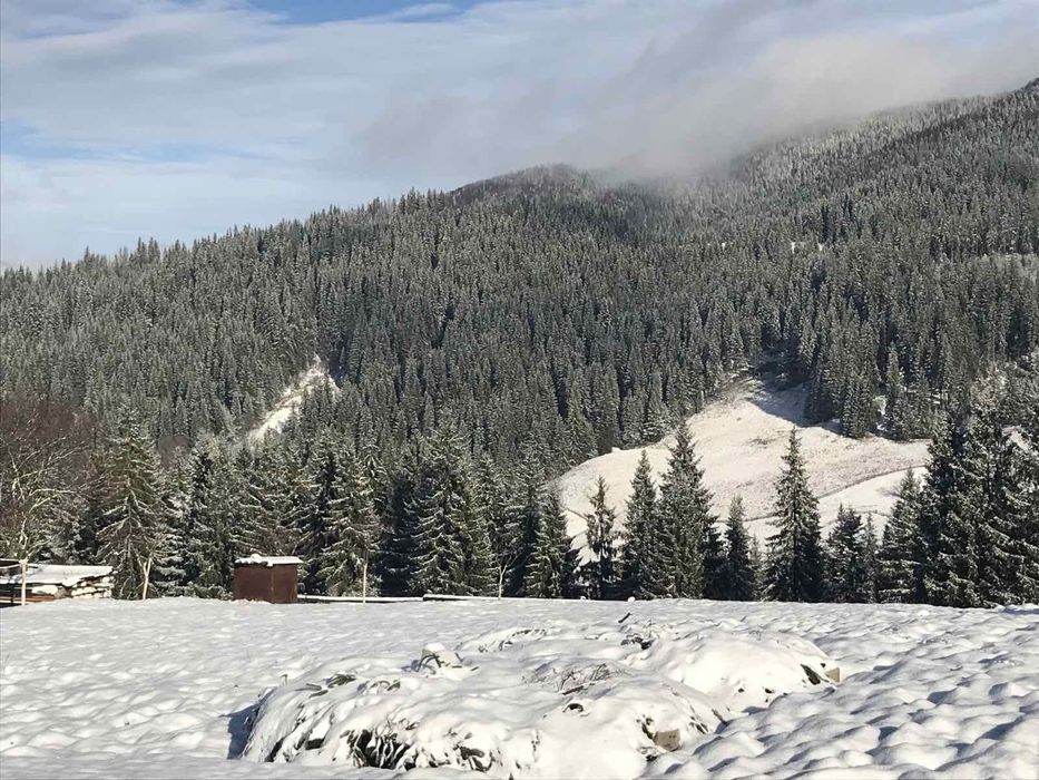 Відпочинок у Карпатах. Котедж "Під лісом".