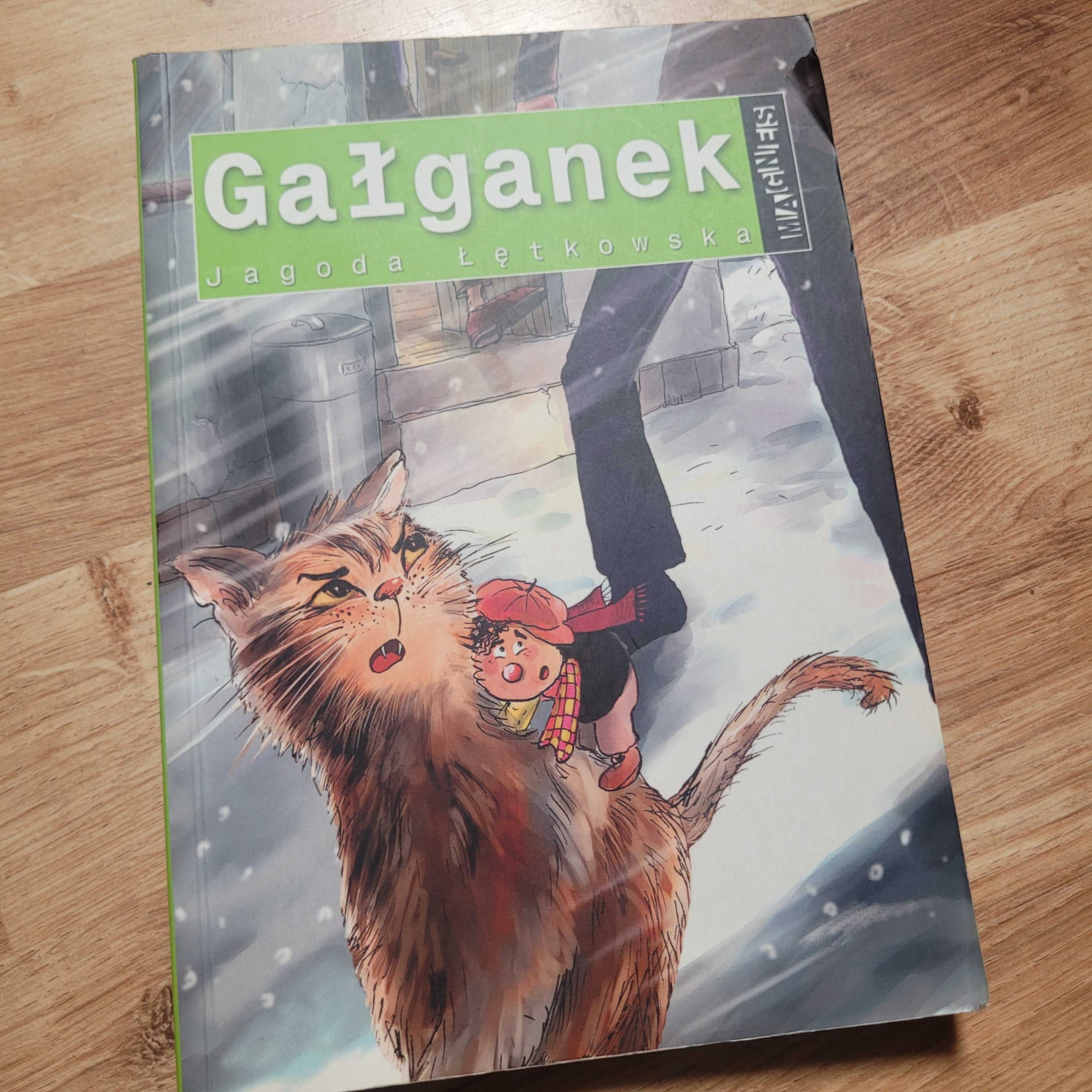 Gałganek, Jagoda Łętkowska, książka dla nastolatka