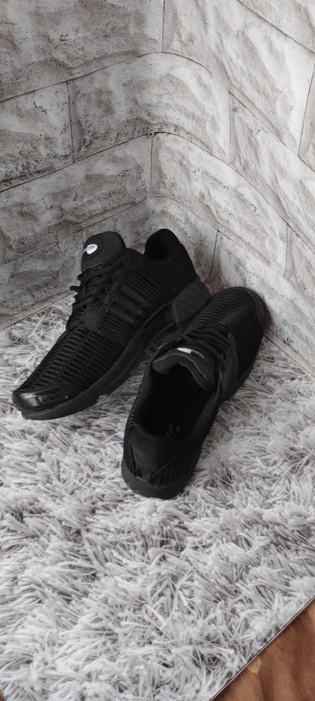 Нові кросівки Adidas climacol