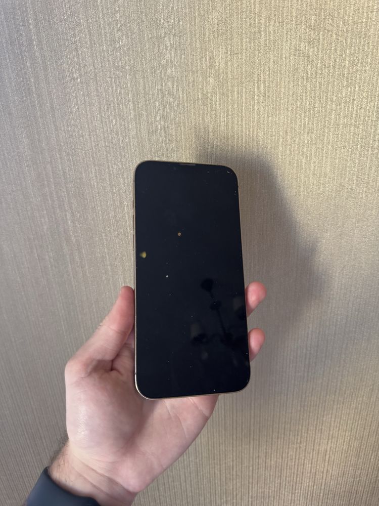 iPhone 13 pro max gold