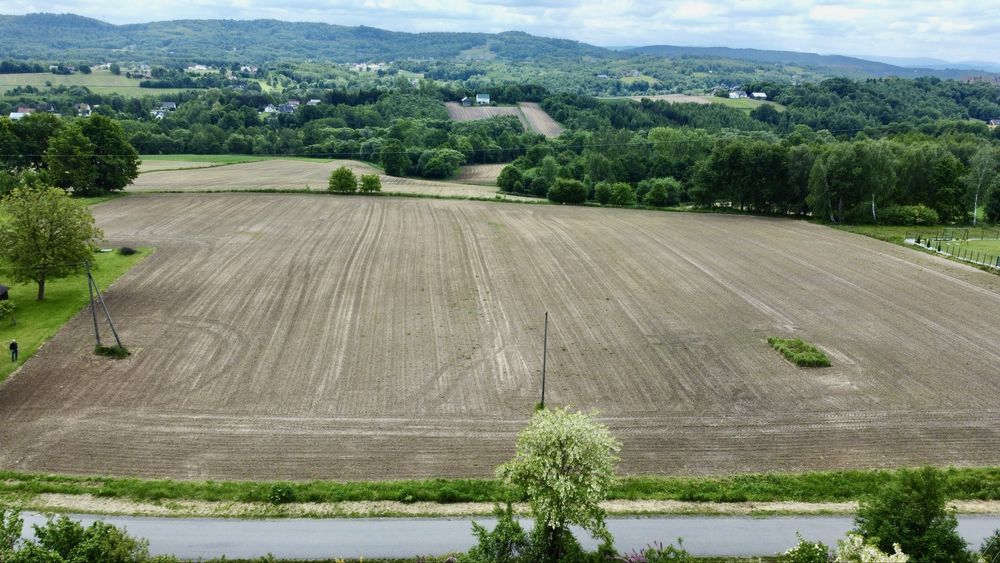 Działka budowlana 10 ar 12 ar TŁUCZAŃ