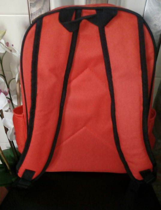 Mochila escolar Lady Bug bom estado