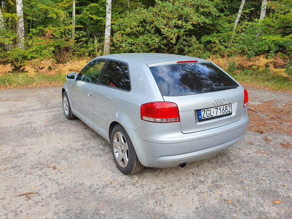 Audi A3 8P 1.6 MPI 102 KM