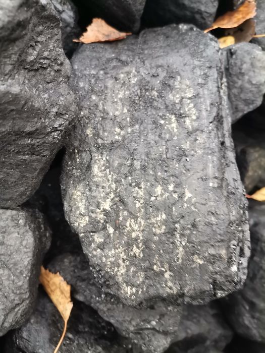 Węgiel kostka gruby polski