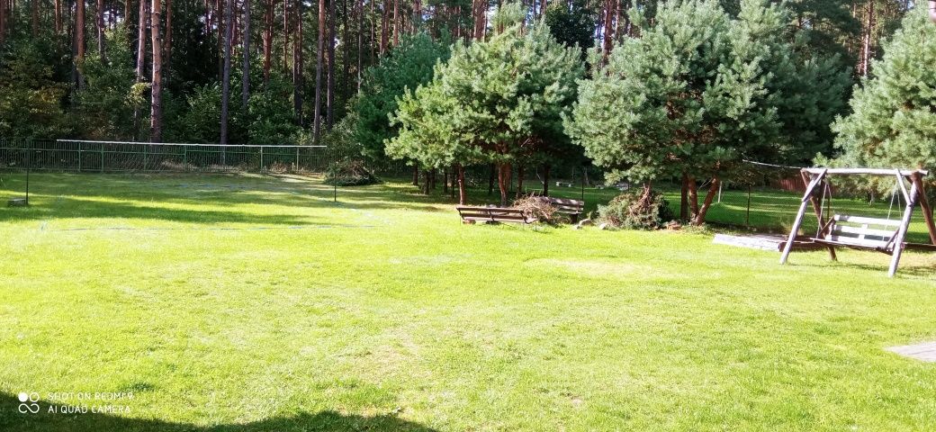 Dom w lesie nad jeziorem. Zapraszamy wolne terminy
