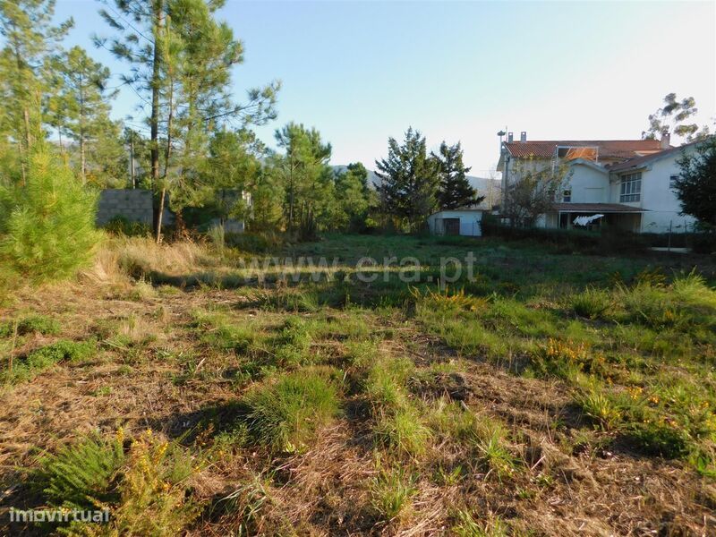 Terreno / Seia, São Romão