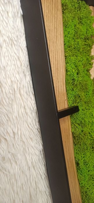 Zegar kwadratowych dąb z mechem