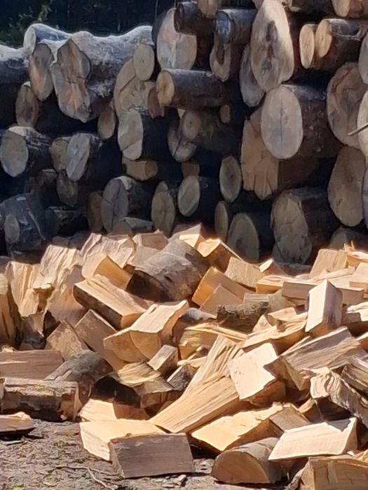 Sprzedam drewno opałowe i kominkowe