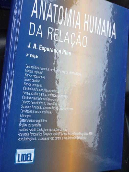 Anatomia da relação