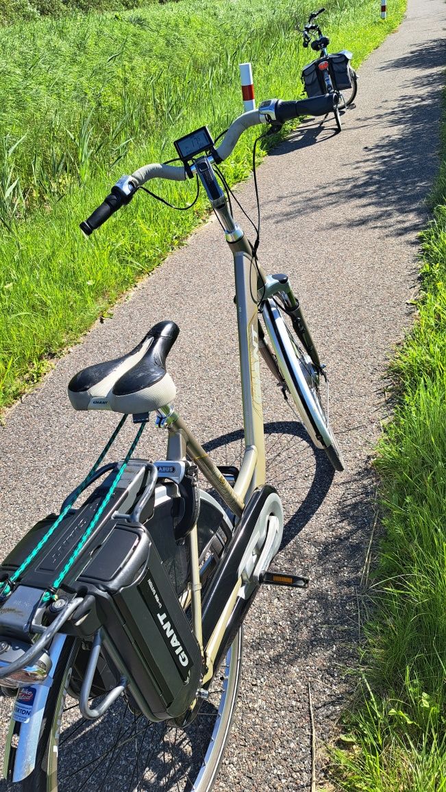 Giant twist go plus