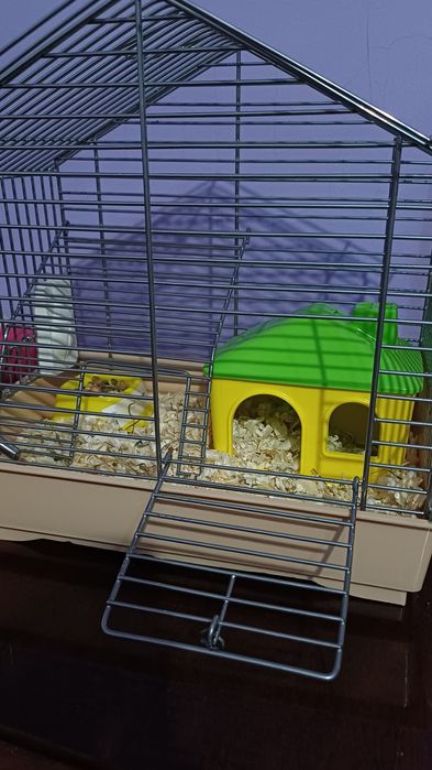 Клітка для хом'яка, джунгарика