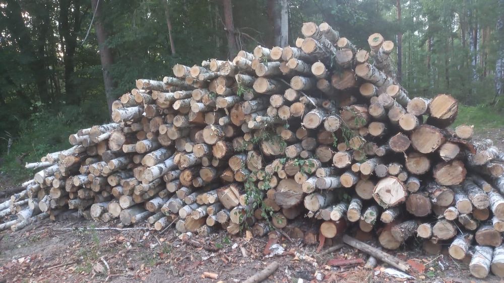 Продам дрова з доставкою